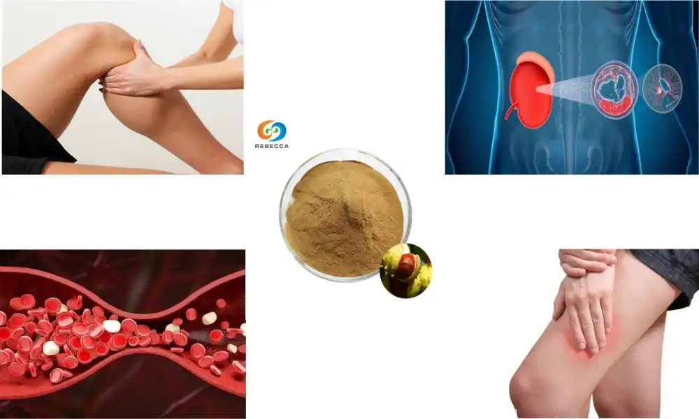 Why is horse chestnut seed extract good for men?